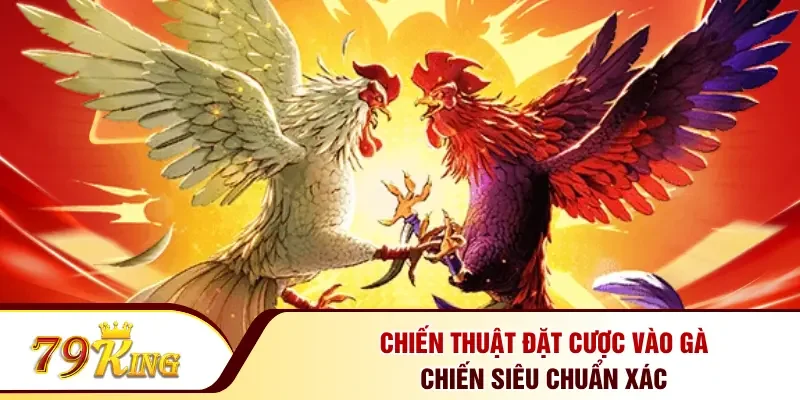 Chiến thuật đặt cược vào gà chiến siêu chuẩn xác