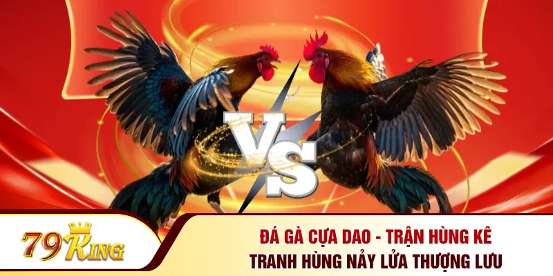 Đá gà cựa dao