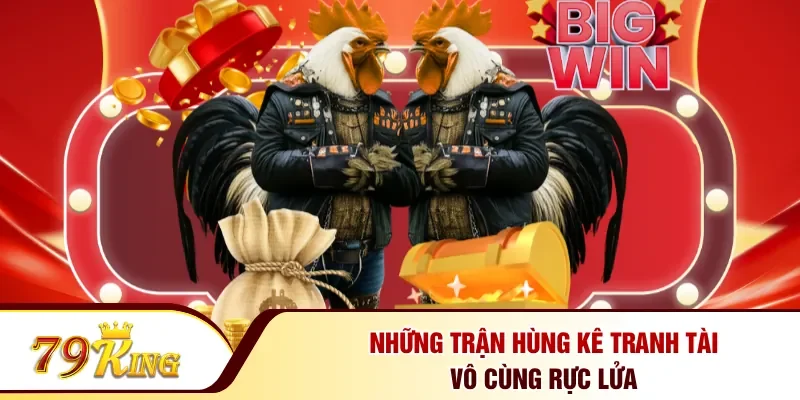 Những trận hùng kê tranh tài vô cùng rực lửa